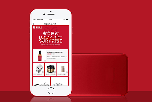 Ȫ�ݱ����Ļ�